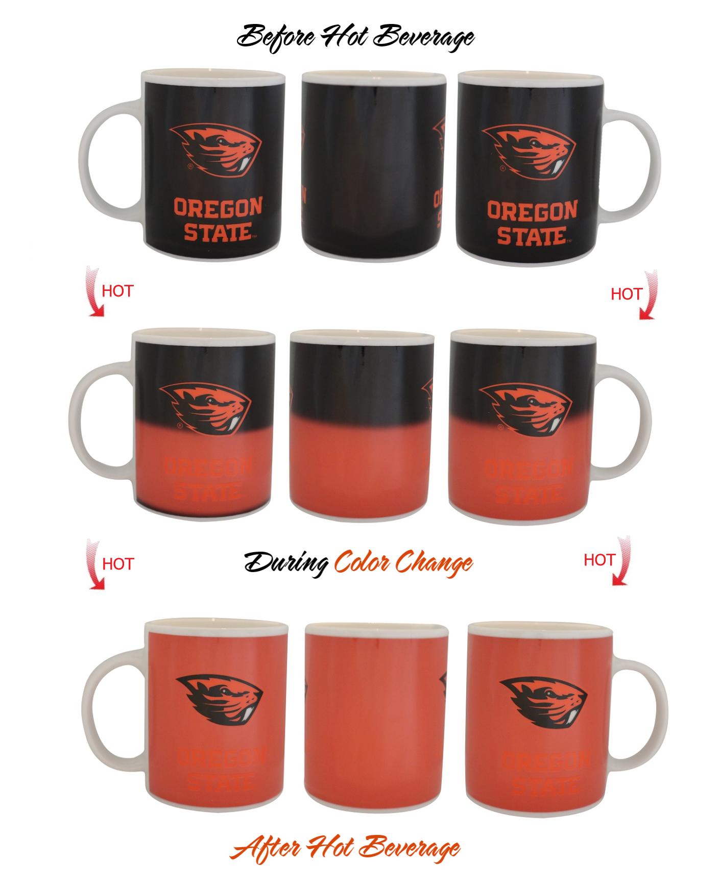 Sunkiss - Venta al por mayor Taza - Taza de café de la Universidad Estatal de Oregón que cambia5