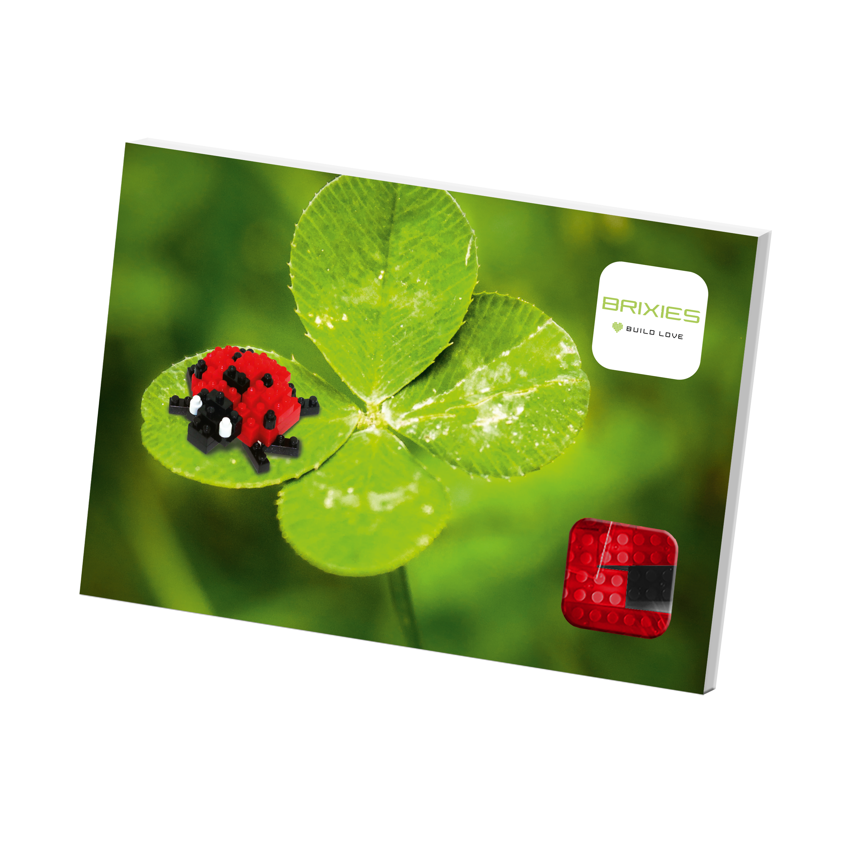 Brixies - Wholesale Build-a-Toy - Kids - BRIXIES ladybird postcard2