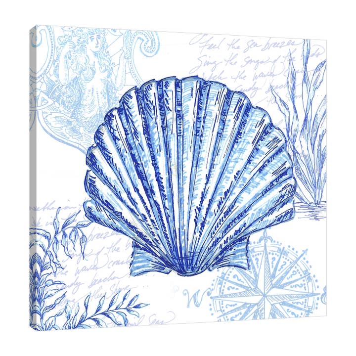 Coastal Sketch Scallop Gallery Wrapped Canvas for wholesale by Jaxson Rea