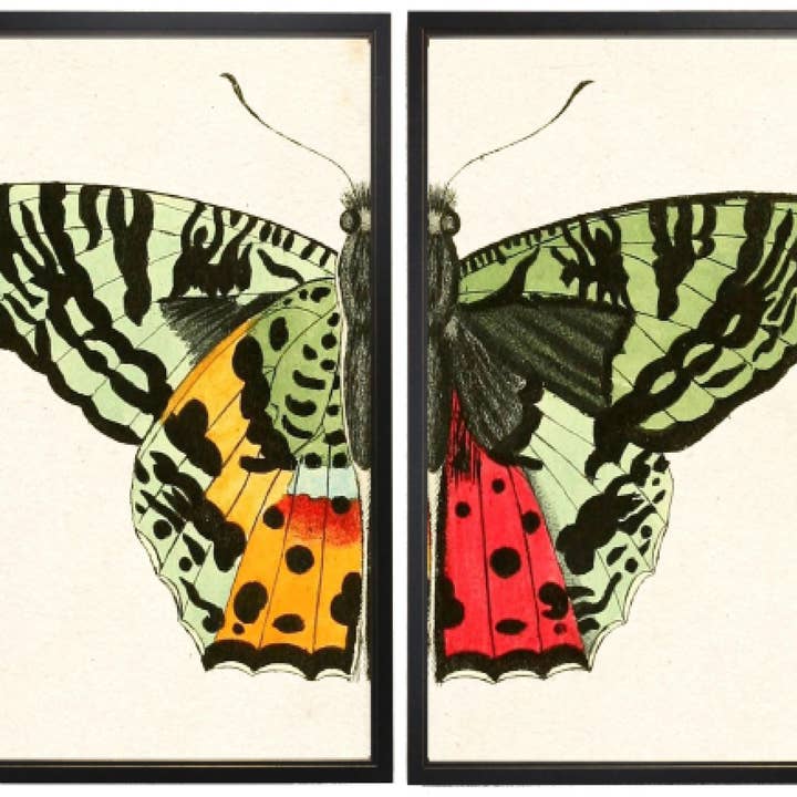 Diptyque Papillon vert pour la vente par Antique Curiosities Inc