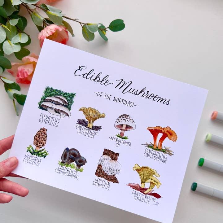 D. Prince Designs - Wholesale Art Print - Edible Mushrooms of the Northeast | Recycled Paper Print1