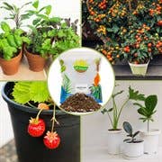 Kurated Korner - Wholesale Planting/Potting Soil - Soil Sunrise Potting Soil with Mycorrhizae1