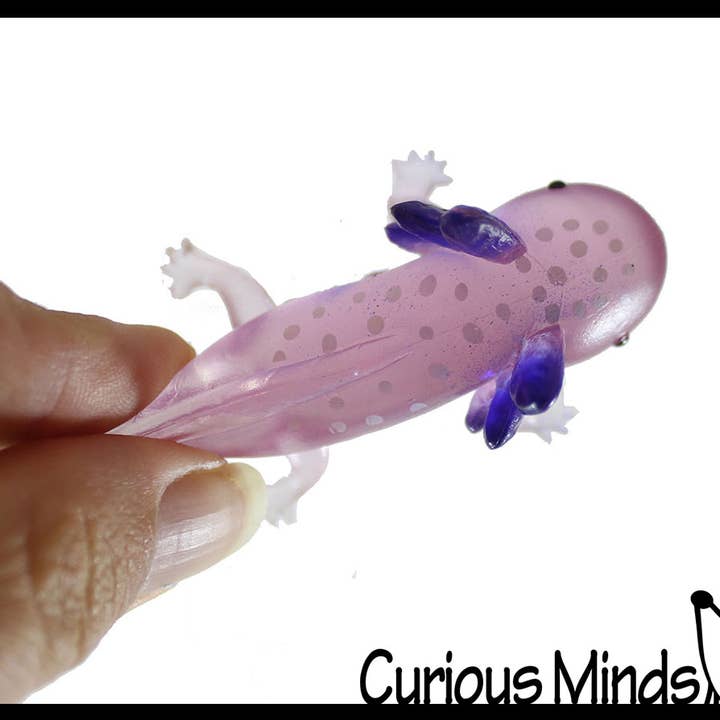 Curious Minds Toys – wholesale Fidget Toy - Barn – 1 påse med 12 realistiska 2,5" färgglada små axolotler-figurer8