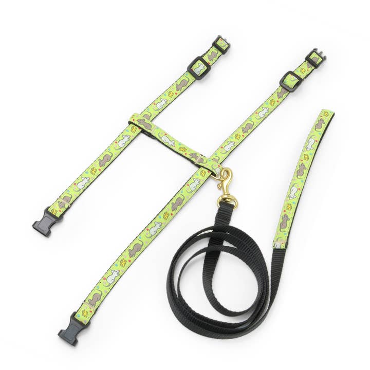 Say Cheese Cat Harness Set for wholesale by Up Country, Inc.