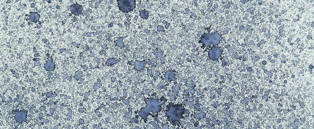 Ecstasy Crafts Distributing - Wholesale Craft Supplies - Cosmic Shimmer Airless Mister26