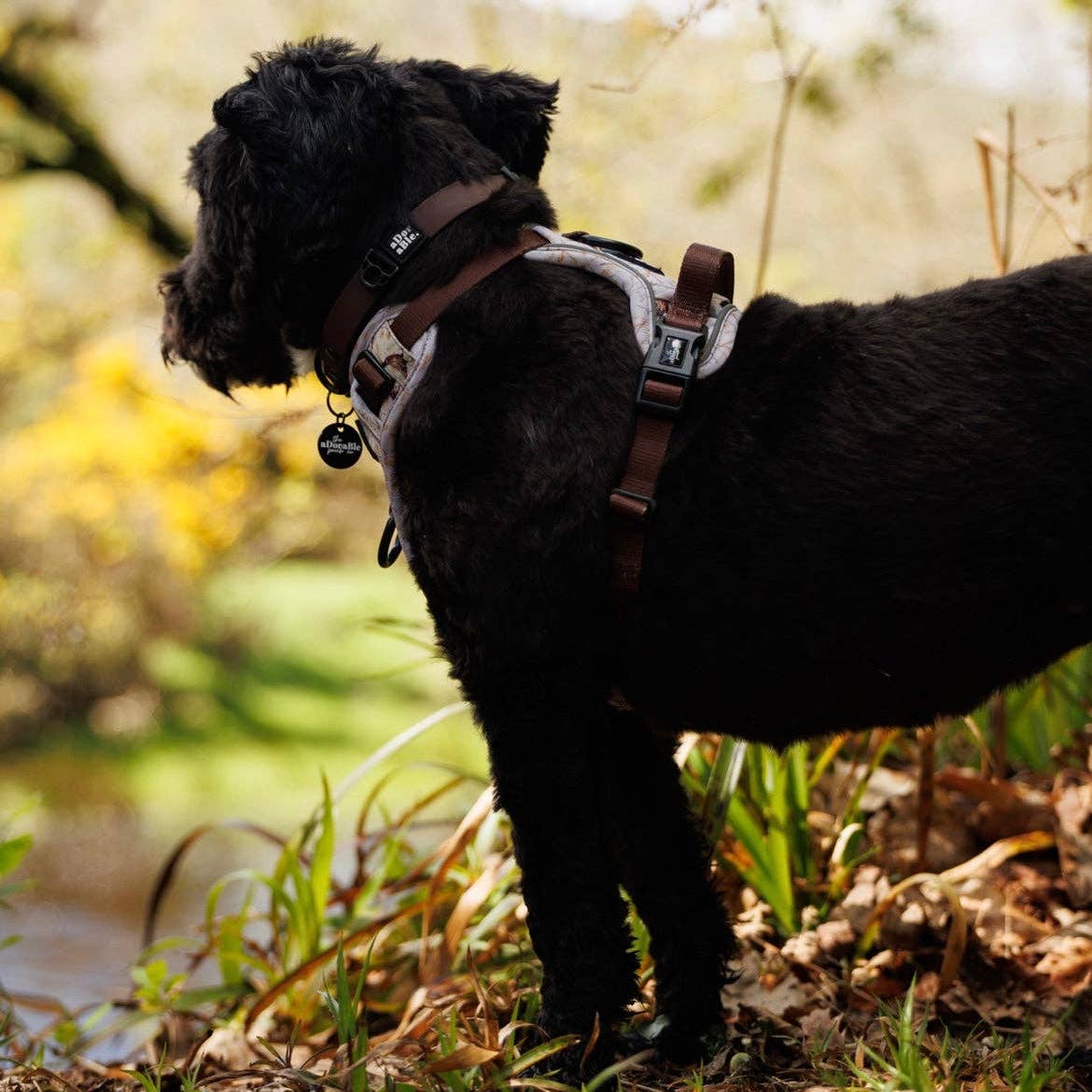 The aDoraBle Pooch Company - Wholesale Tuig voor huisdieren - Hond - Hike & Go™ Harnas - Farmland Fazant16