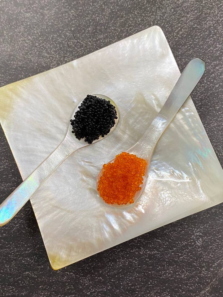 Plato de concha cuadrada, plato de madreperla dorada, plato de conchas marinas para venta al por mayor de Hala Design