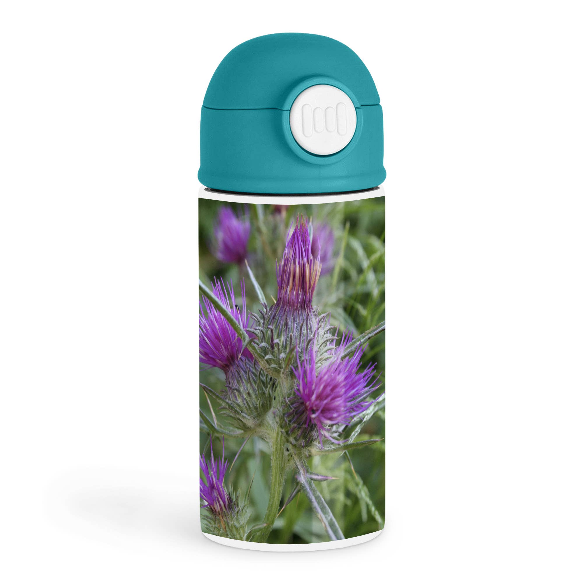 3dRose - Wholesale Water Bottle - 3dRose, Thistle Flowerhead - Syrian Thistle,Notobasis syriaca, Scotland, agavanos, purple flower, Flowerhead, Kids Water Bottle0