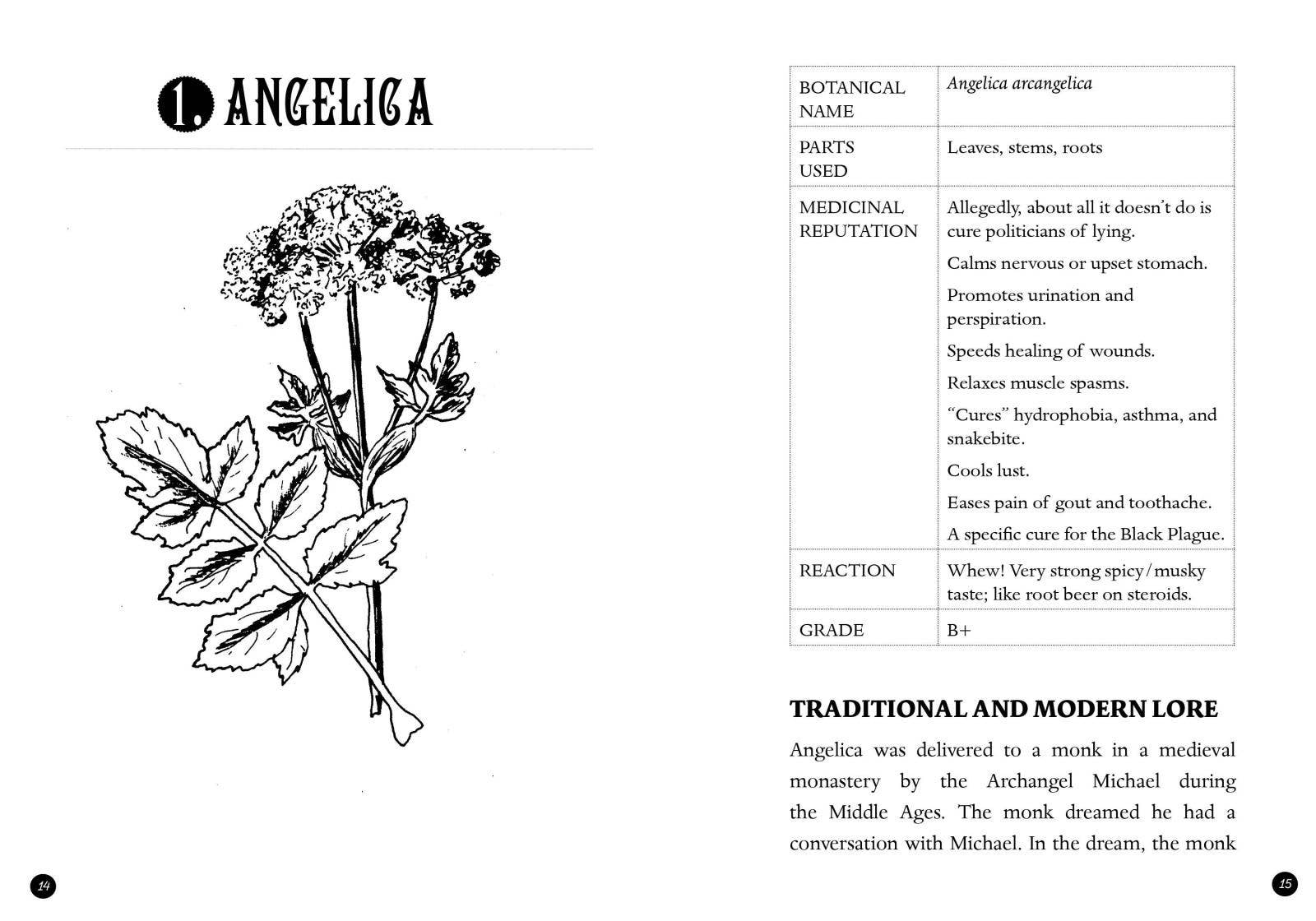 Microcosm Publishing & Distribution - Wholesale Nature & Outdoors Book - Everyday Herbal Teamaking: Health, Fun, and Self-Care Guide9