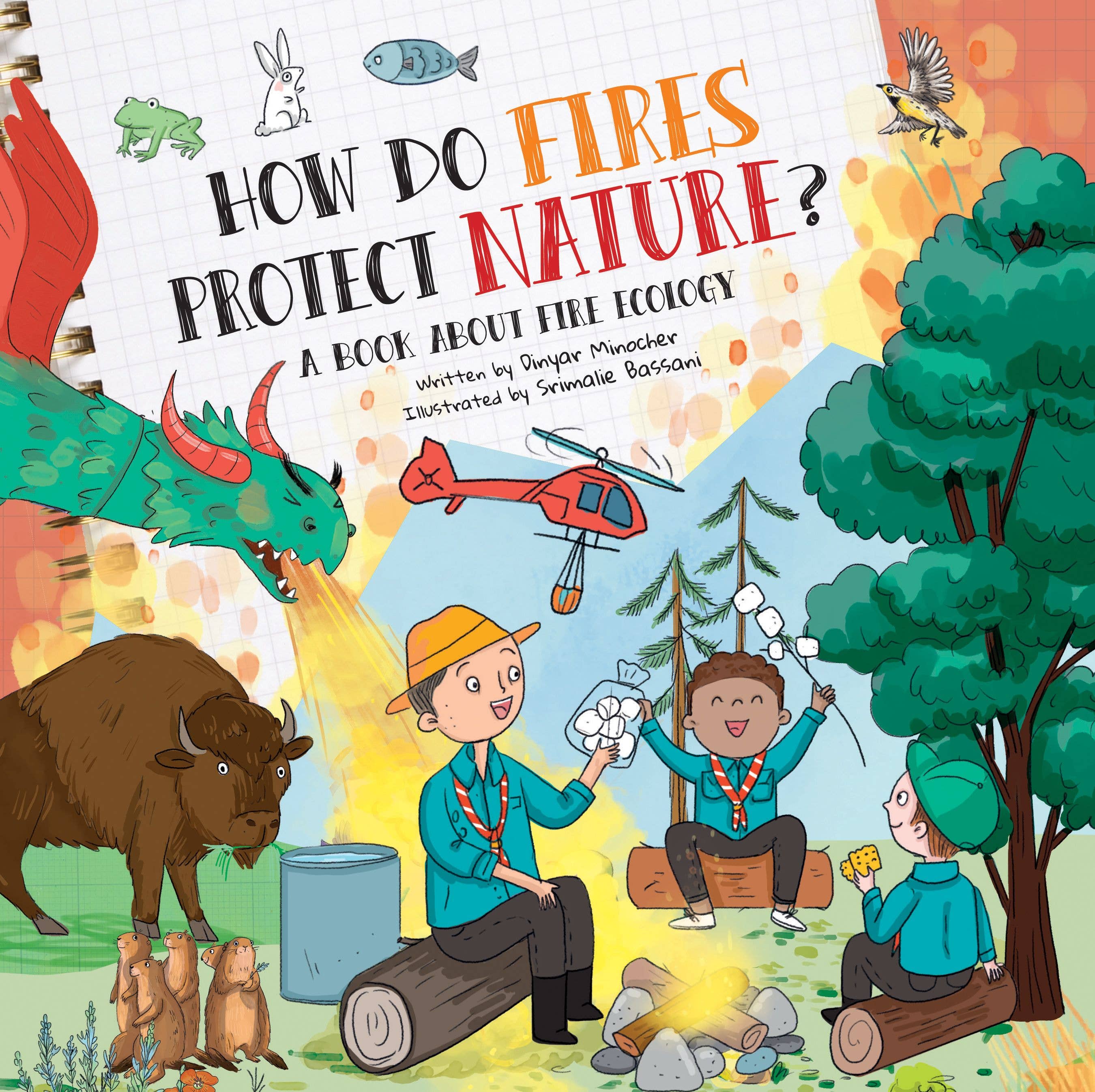 Baker & Taylor Publisher Services - Wholesale Nature & Outdoors Book - How Do Fires Protect Nature?0
