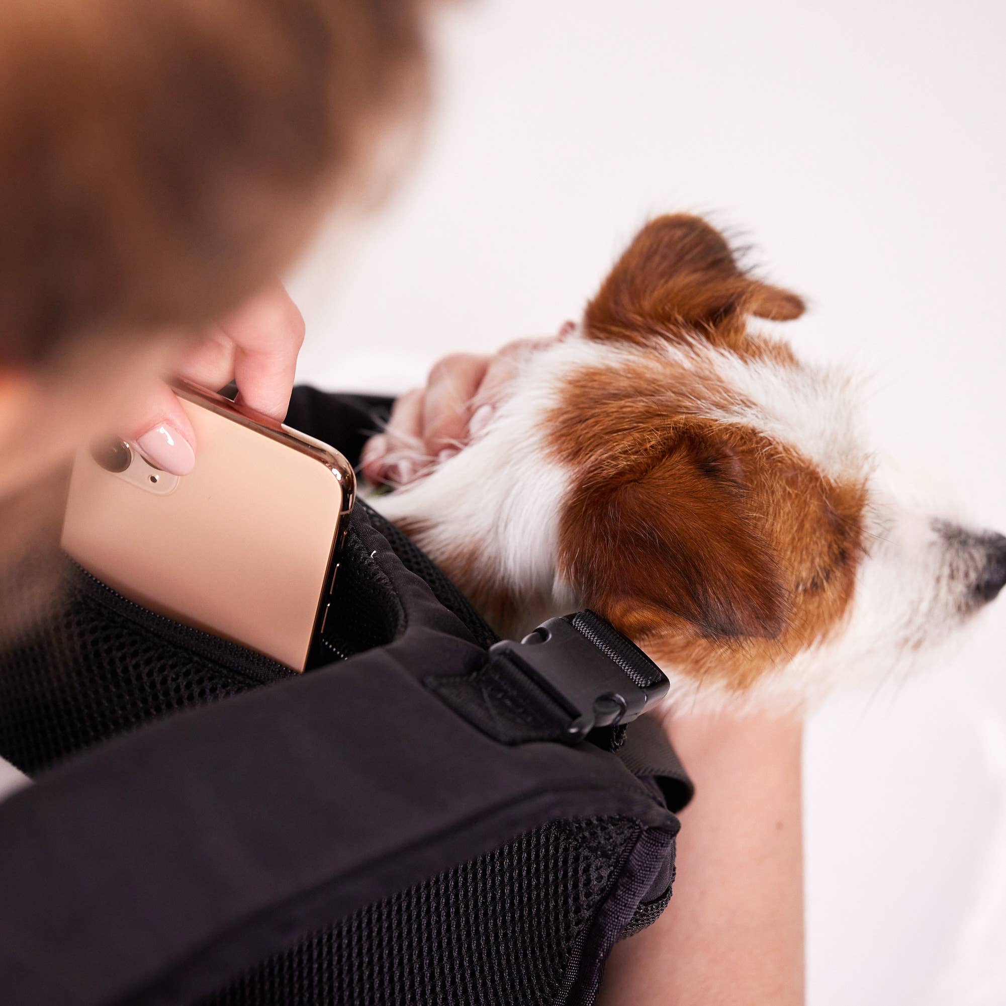 Pups & Bubs - Vente Caisse de transport – chat et chien - Sac de transport avant et arrière Let's Adventure pour chiens et chats | 3 couleurs11