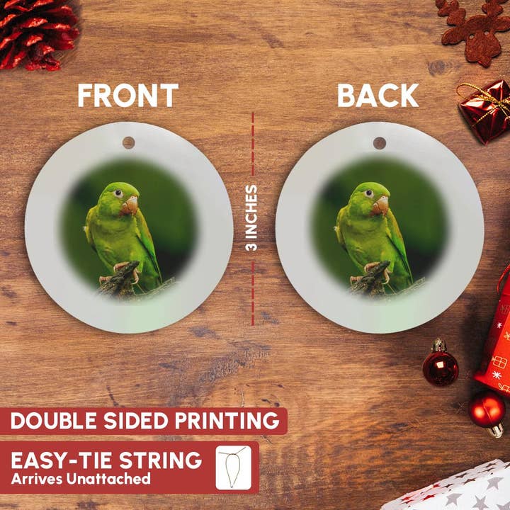 3dRose - Wholesale Ornament - 3dRose, Costa Rica. Orange-chinned parakeet close-up., Ornament2