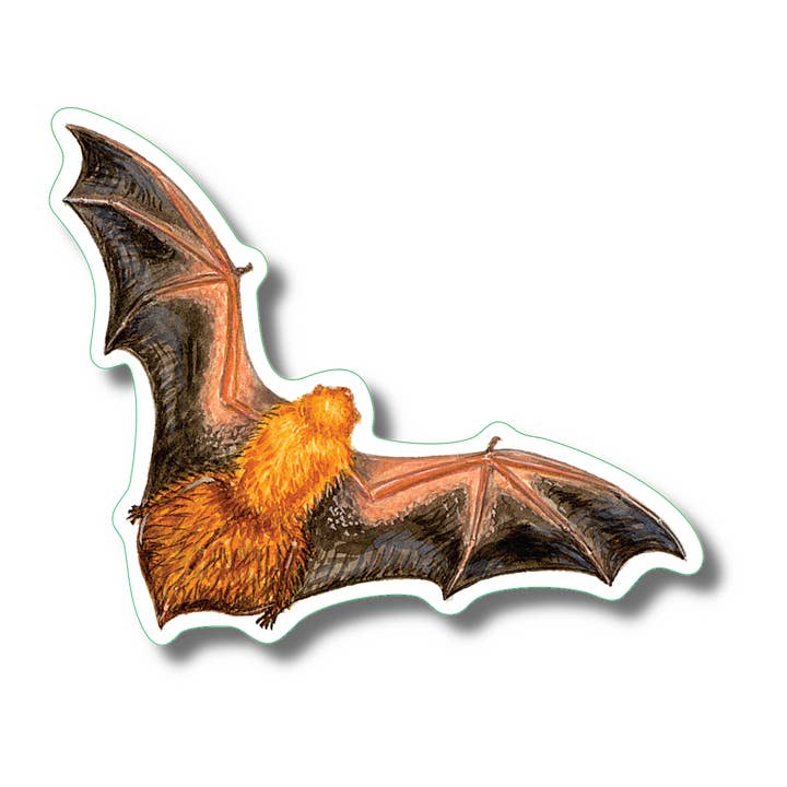 Earth Sky + Water - Vente Autocollant - Autocollant Eastern Red Bat Nature, 3,5 pouces de large1