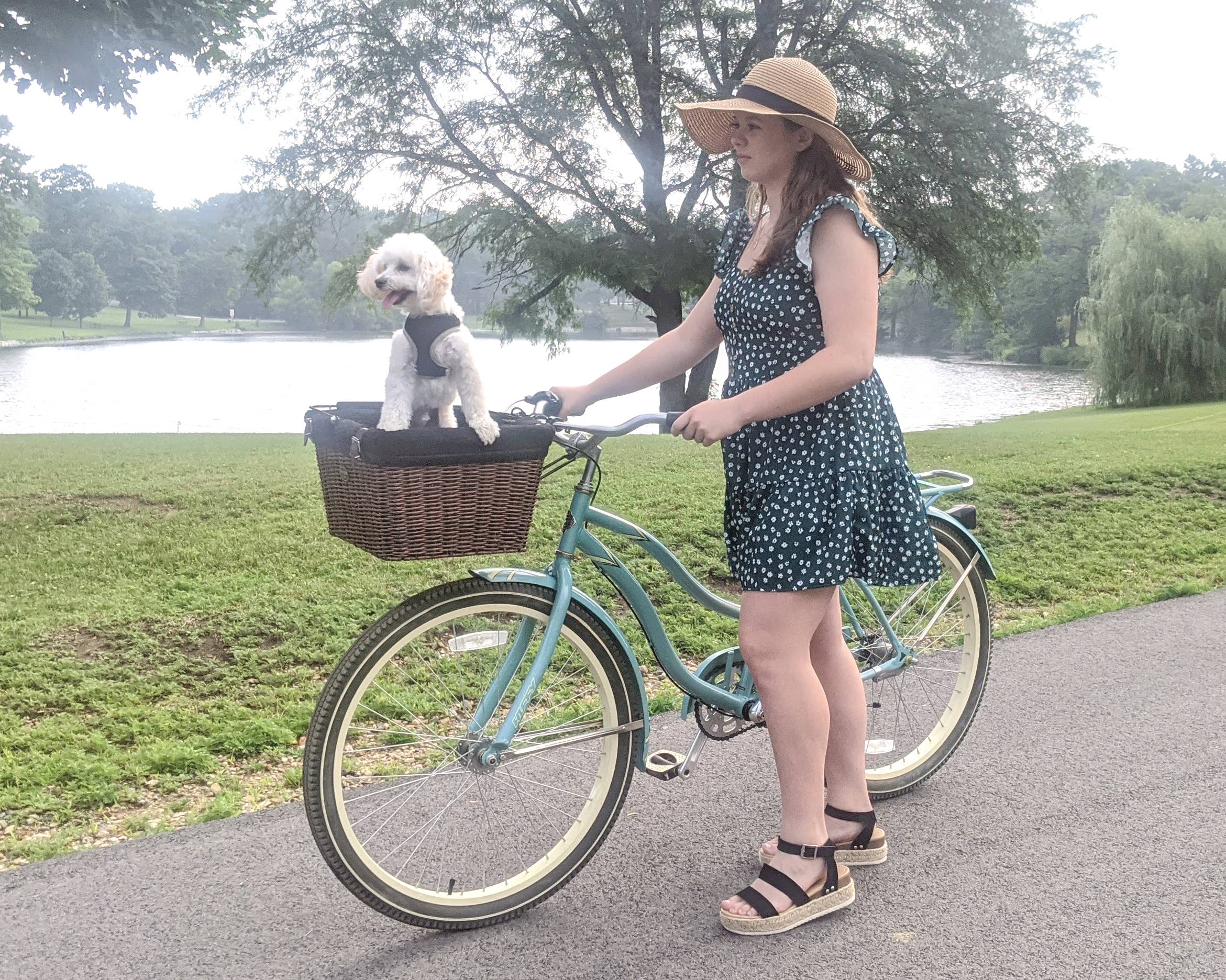 Travelin K9 – Engroshandel Kæledyrstransporttaske – Hund – Travelin K9 Hundekurv til cykel i flet med låg7