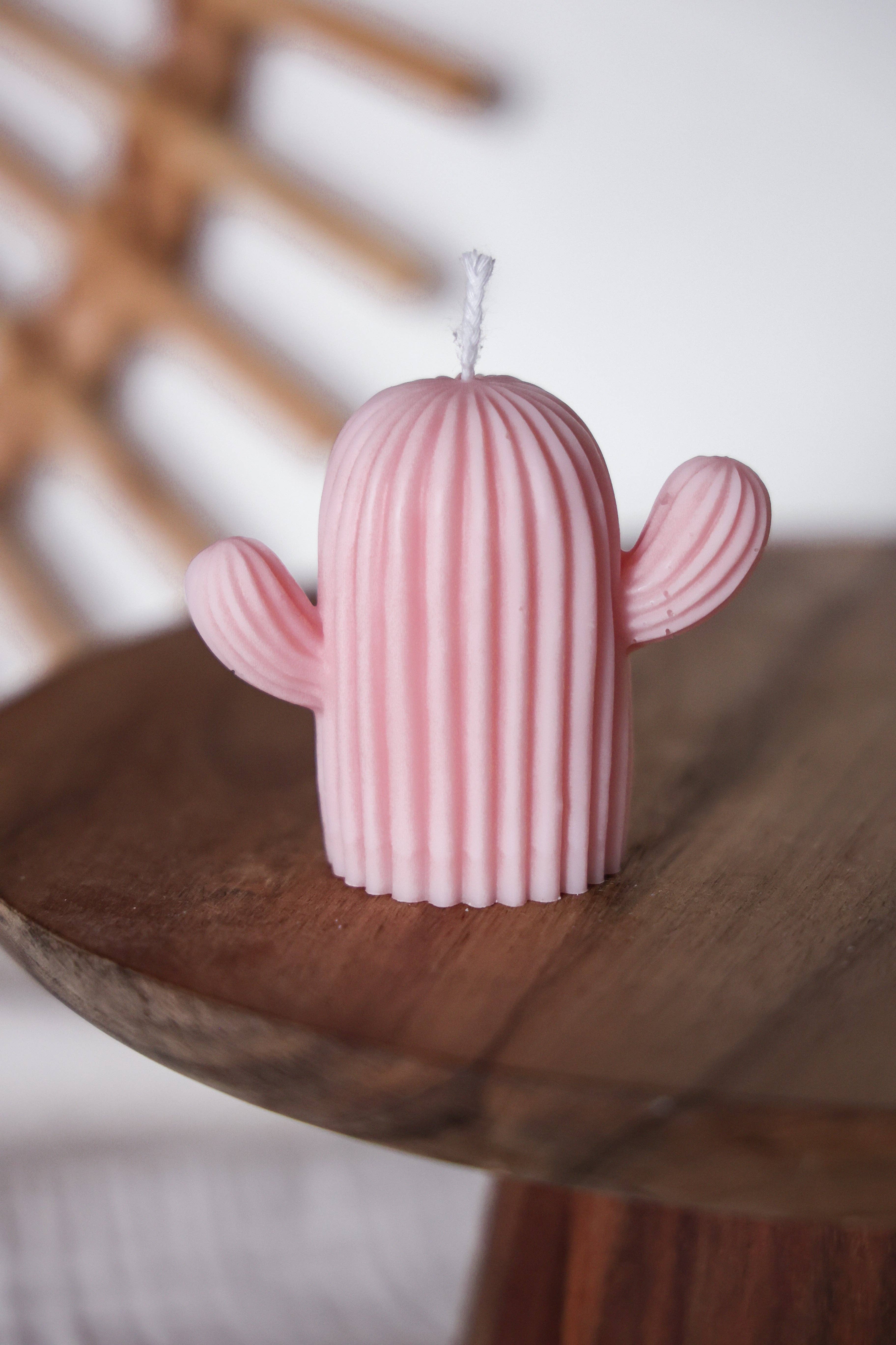 Niki Candle - Wholesale Novelty Candle - cactus4