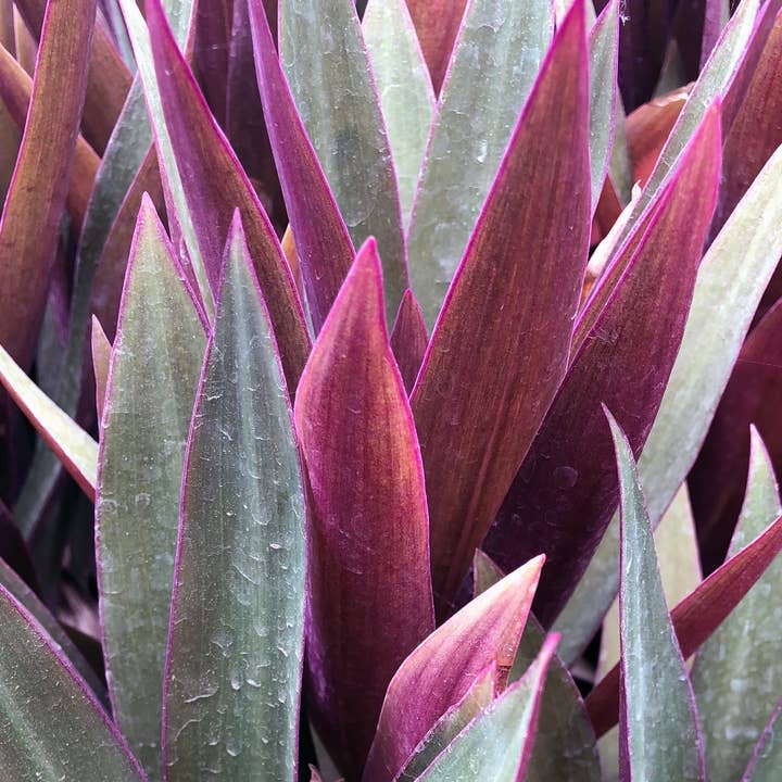 Remnant Studios - Wholesale Stud/Post Earrings - color block studs14