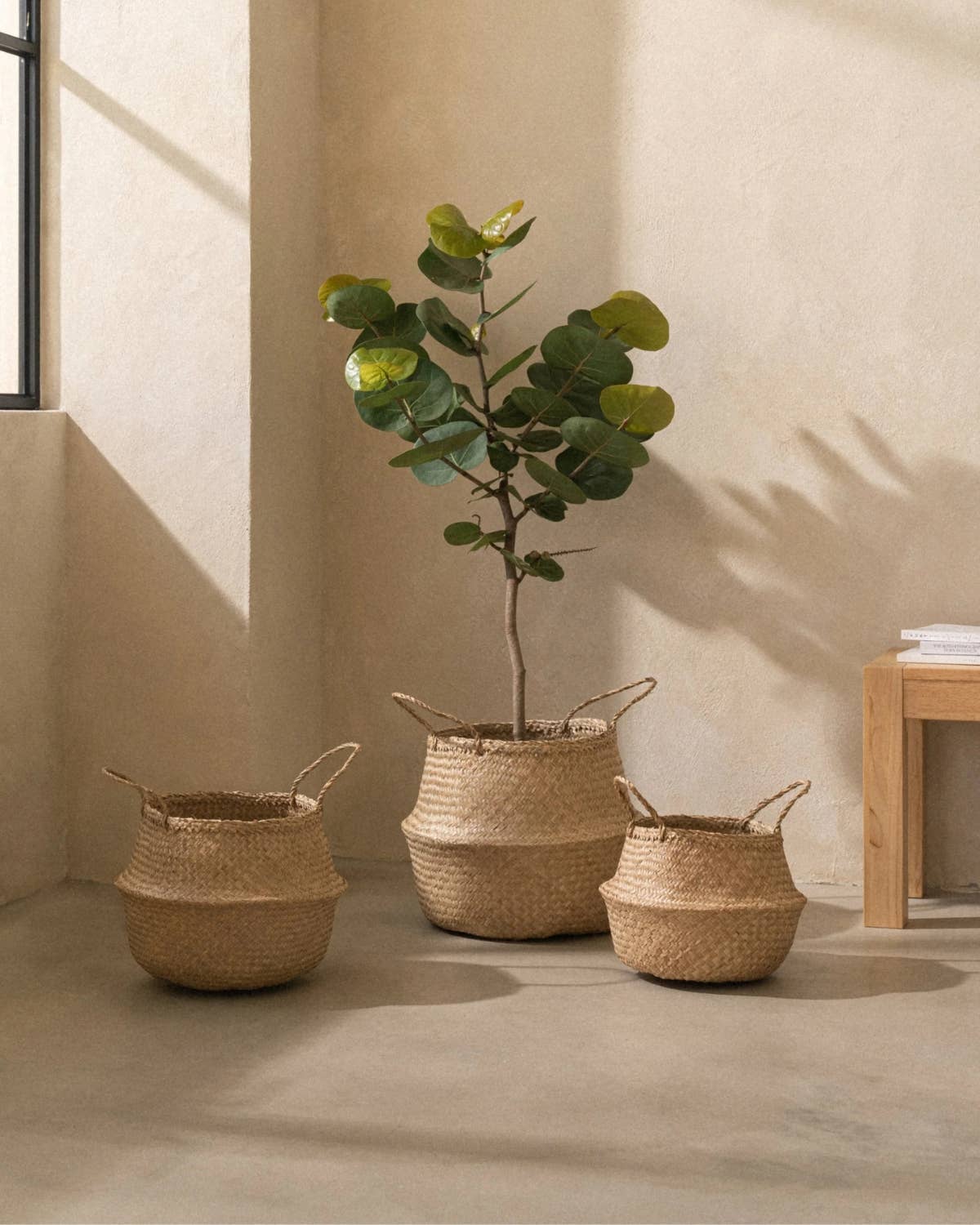 SUNNY HOME - Wholesale Basket - Small Kiau Seagrass Belly Baskets3