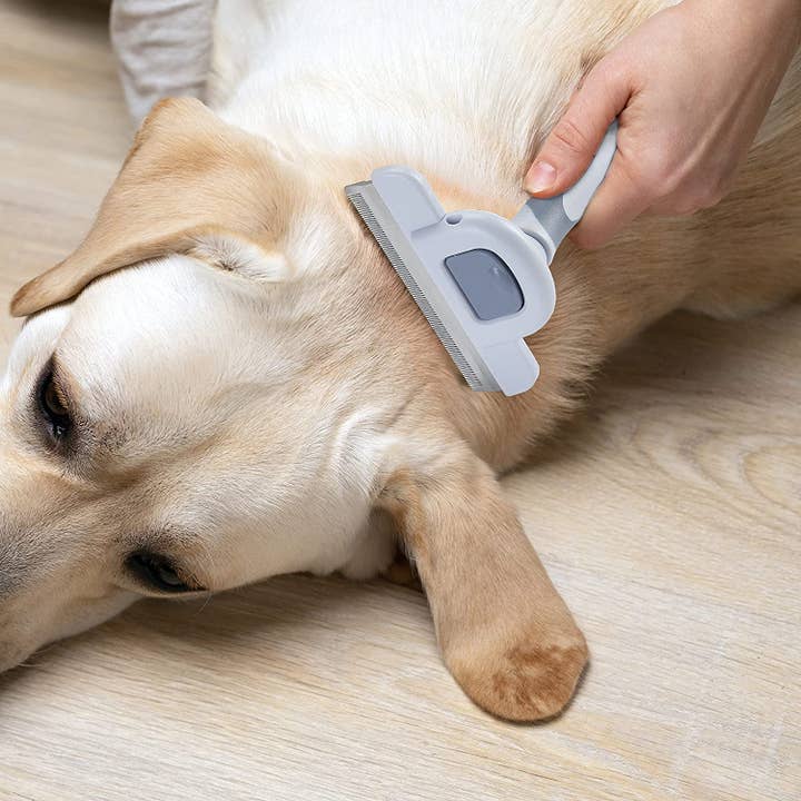 Mr. Pen - Wholesale Pet Brush - Cat/Dog - Pet Grooming Brush, Deshedding and Undercoat Brush for Dogs with Shedding Control6