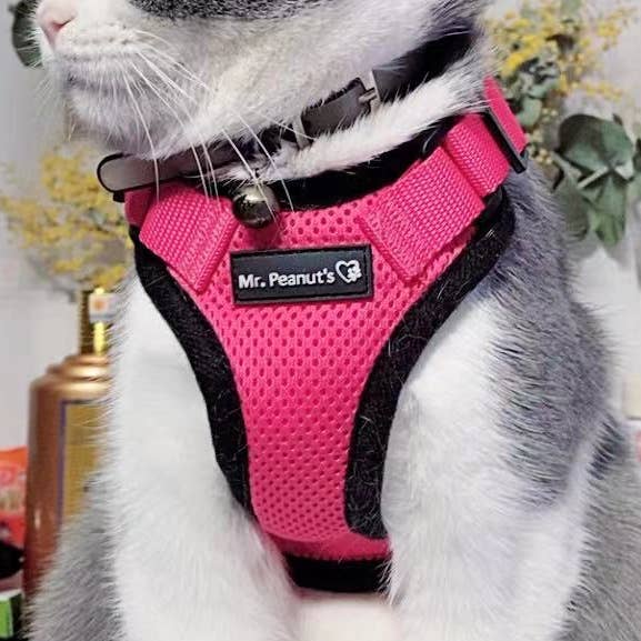 Mr. Peanuts PurrTrek Reflekterande Kattsele med Matchande Koppel för wholesale av Mr. Peanut's