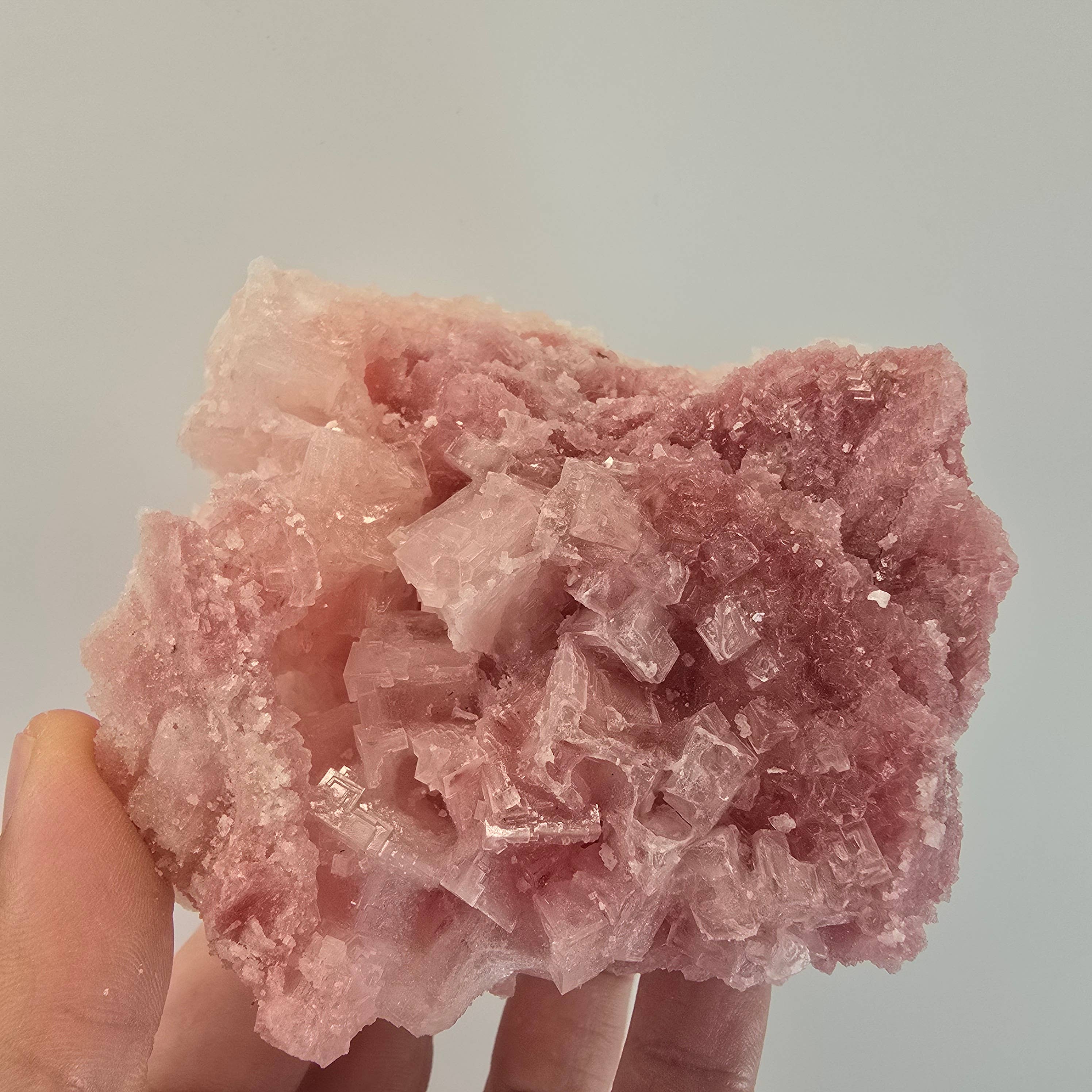 Aquamarine Daydream Wholesale - Wholesale Spiritual Stone/Crystal - 6pc Pink Halite ~ Bulk Mineral Flats ~ Crystal Specimens #55