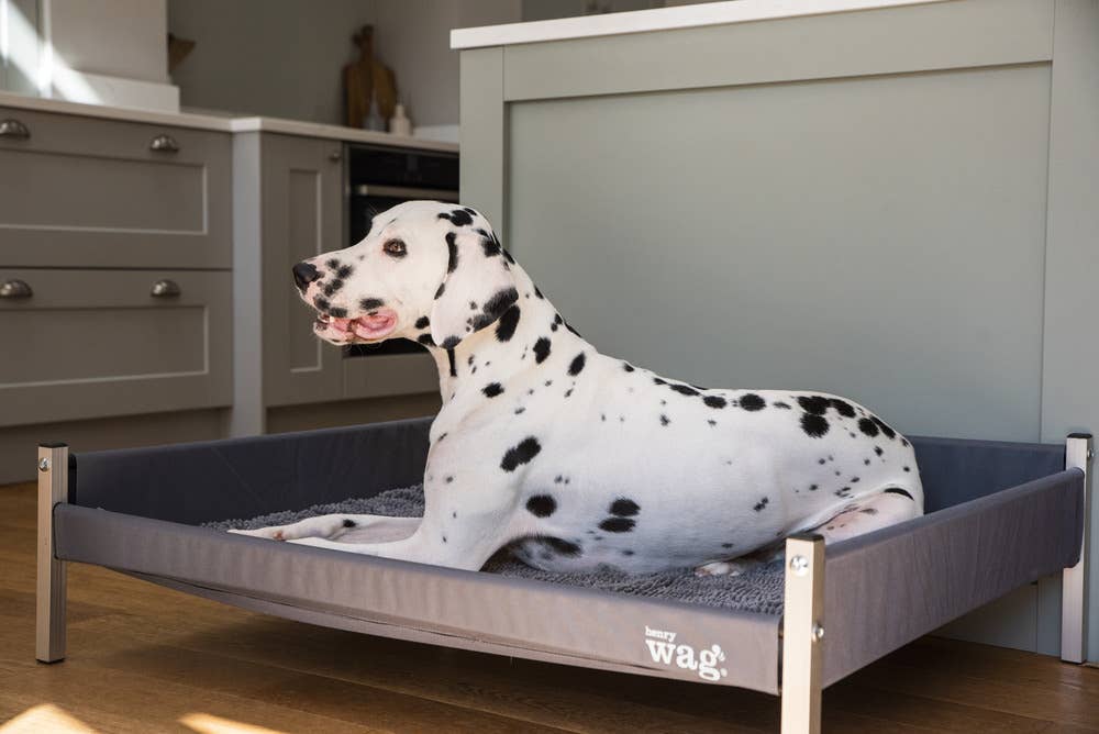 Henry Wag – wholesale Pet bed – Dog – Henry Wag Elevated Dog Bed3