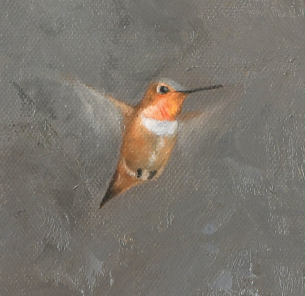 James Corwin Fine Art - Vente Affiche d'art - Grizzly et colibri - The Messenger II - Impression artistique2