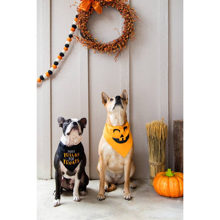 Pearhead - Wholesale Pet Bandana - Dog - Pumpkin Dog Halloween Bandana, M/L