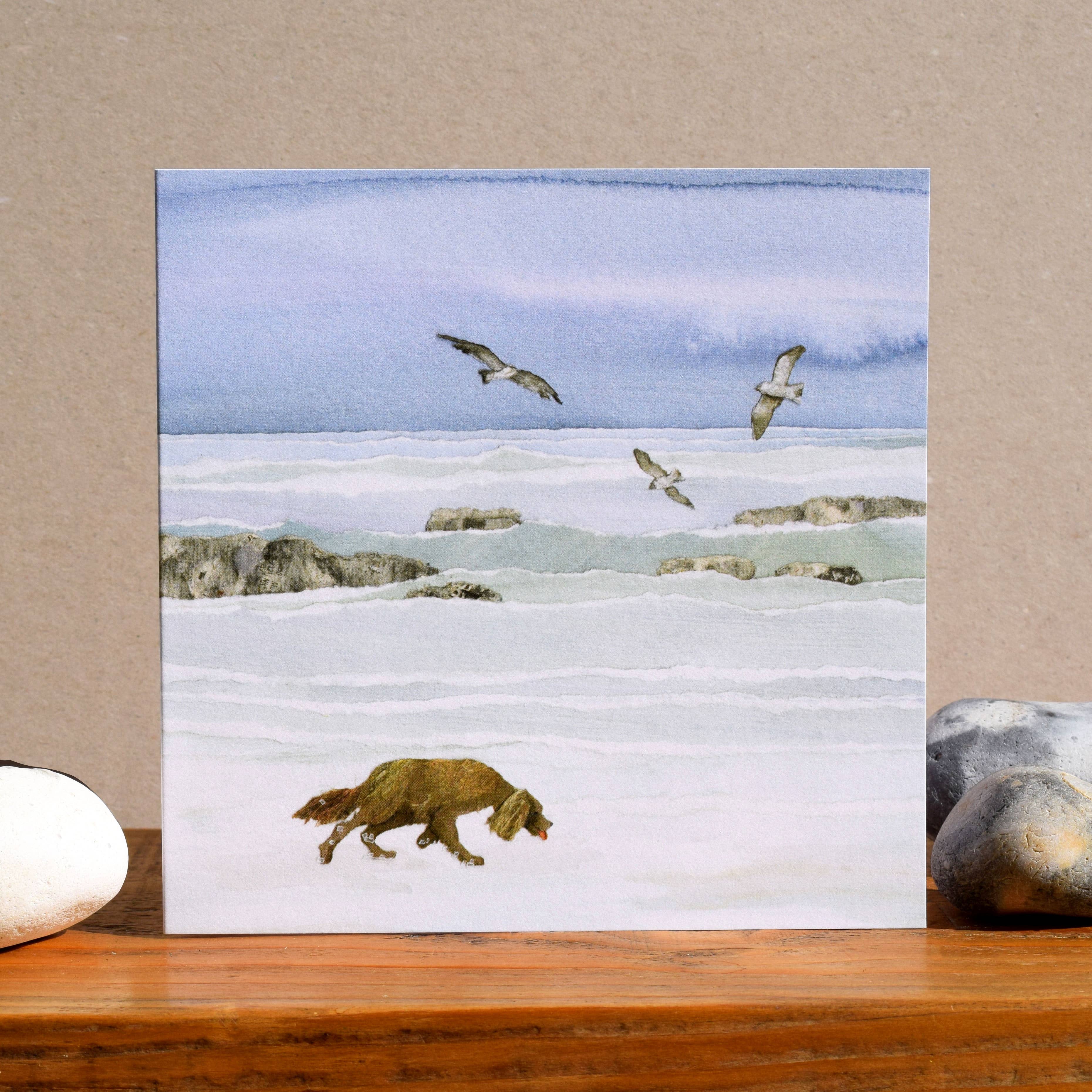 Windsock Press – wholesale Everyday greeting card – Dog and Seagulls Card (sunday morning)1
