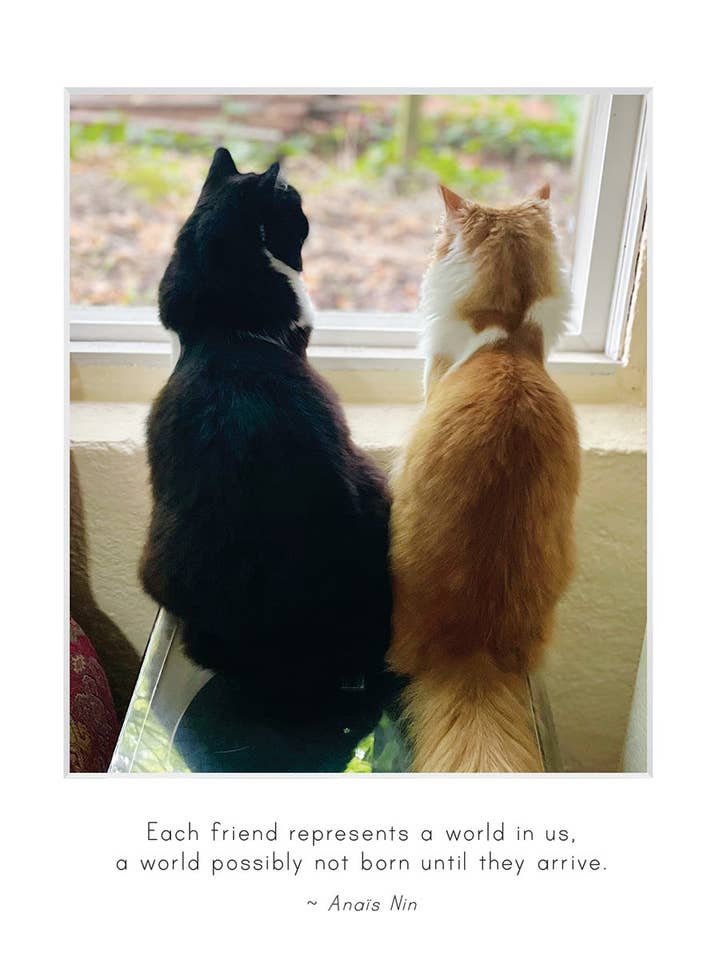 B741 - Whisker Sisters for wholesale by Stonehenge Designs