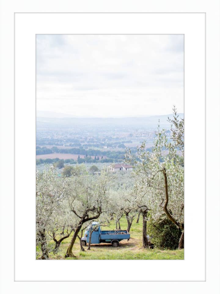 Récolte d'olives II pour la vente par Gavalina