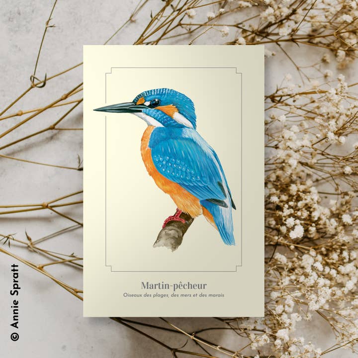 Longue-vue - Wholesale Postcard - Martin fisherman - Postcard1