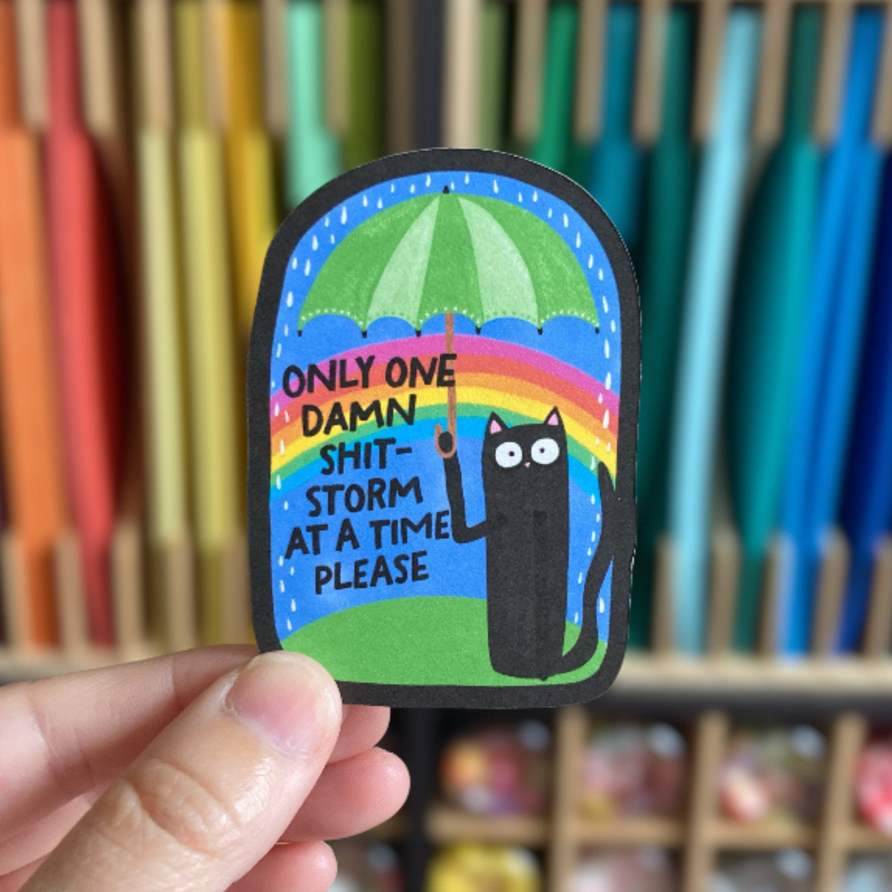 PartyHappier - Wholesale Sticker - Only One Damn Shit Storm At A Time Please Vinyl Sticker