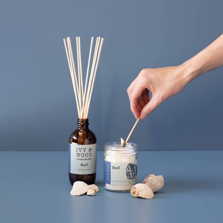 Ivy & Wood - Wholesale Reed diffuser - Homebody: Reef Reed Diffuser1