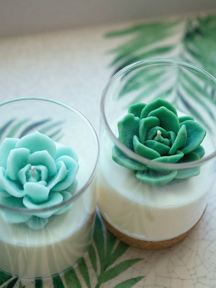 Succulent Soy Candle | Soy Blend for wholesale by ZOETSTUDIO