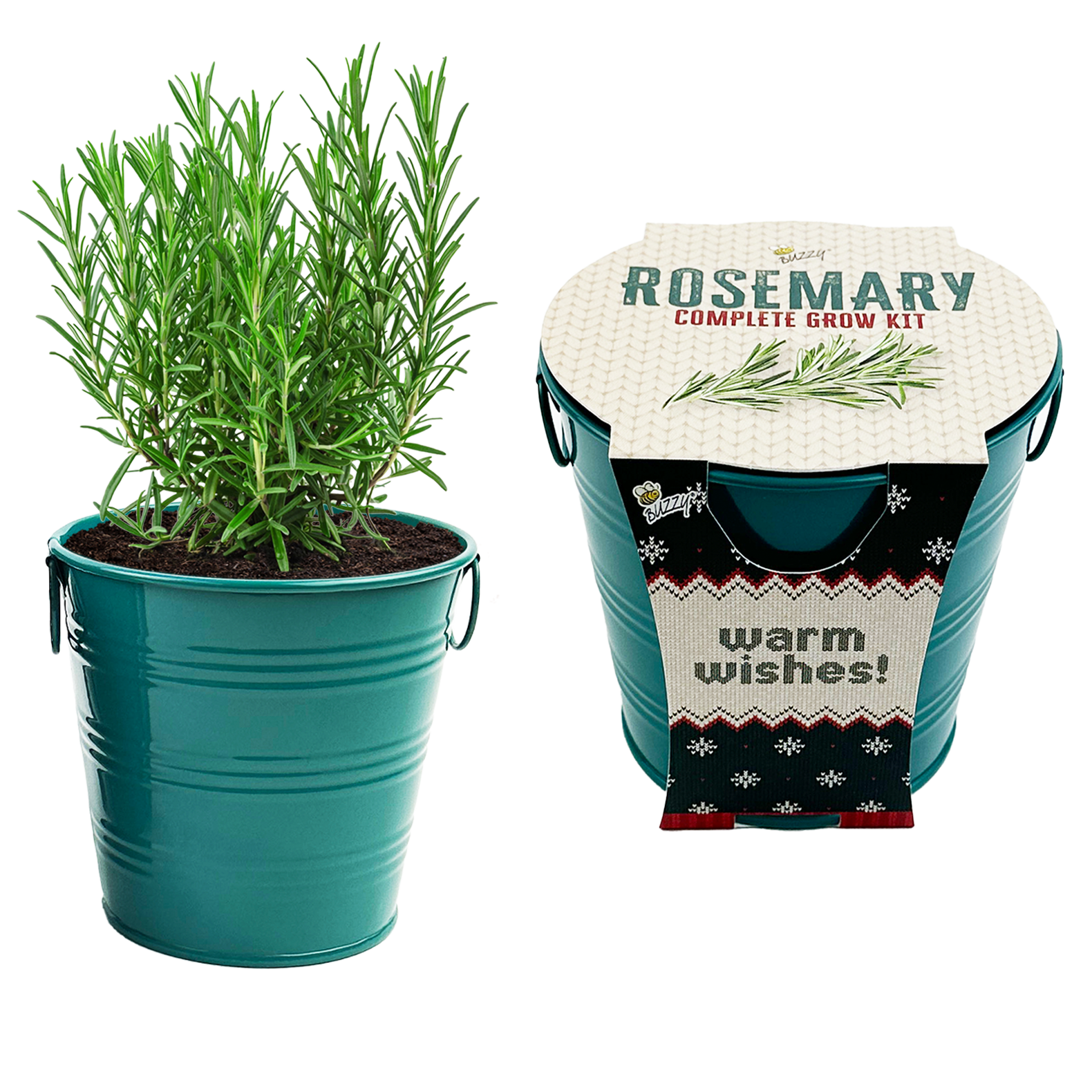 Buzzy Seeds Grow Gifts - Vente Graines de plantes - Kit de Culture Assorti de Seaux de Vacances - Épicéa, Romarin & Coléus4