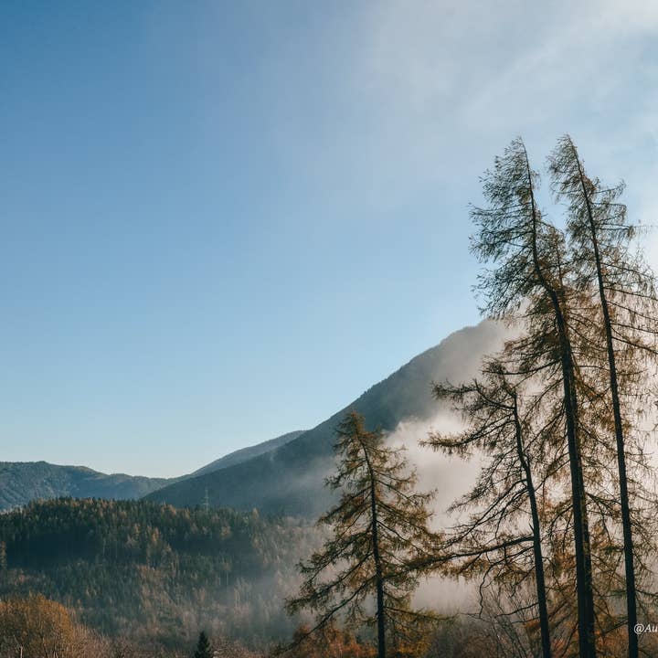 Østrig 33 for engroshandel hos Autumn Carolynn Photography