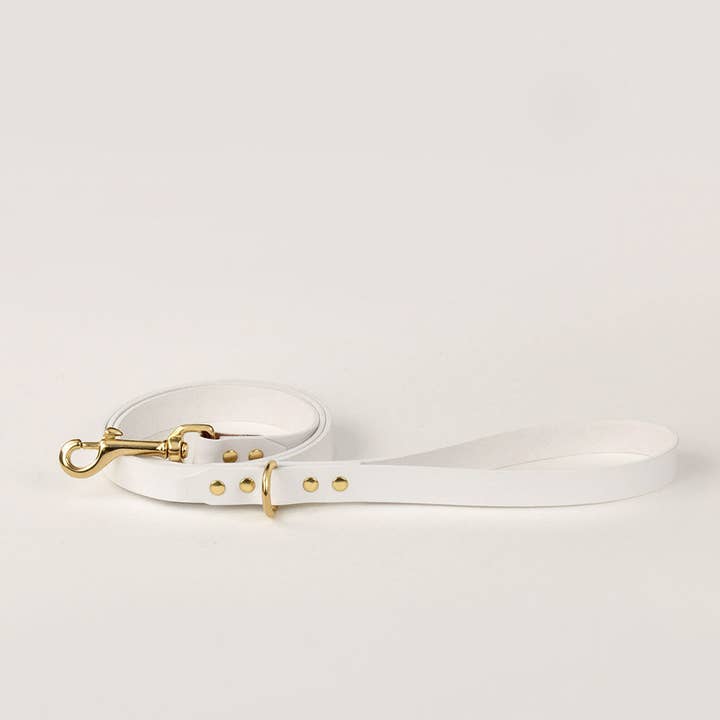 INDÓMITO – trela - Cão por atacado – Coleira branca para cachorro de 1,20 m1