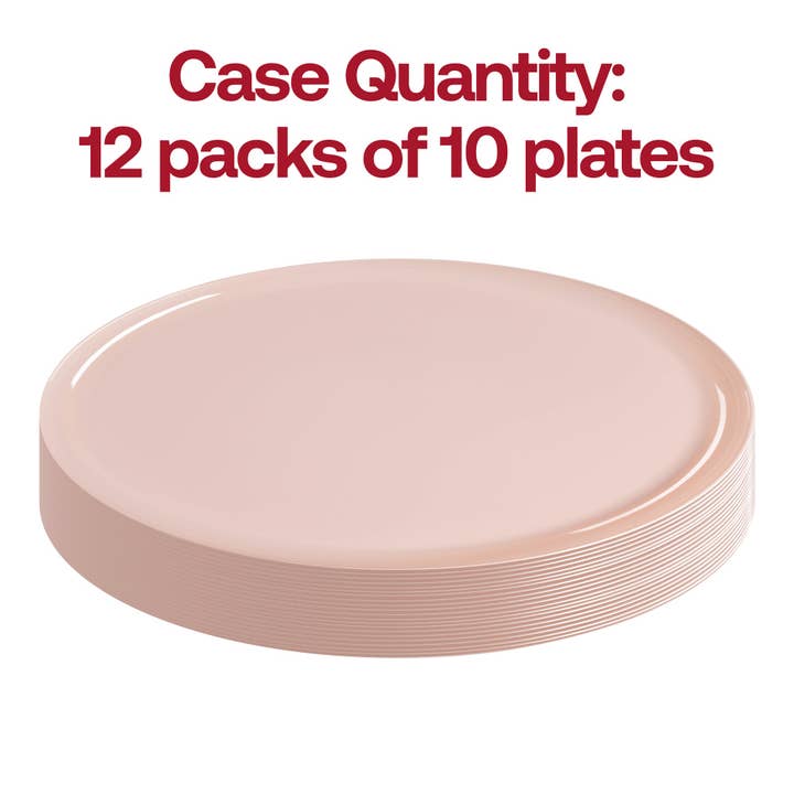 Smarty had a Party - Wholesale Disposable Plate - 10" Pink Flat Round Plastic Dinner Plates - 120 pcs3
