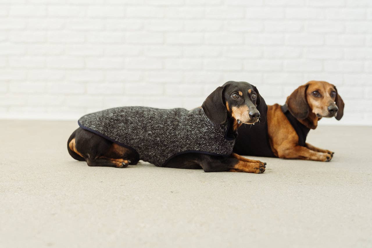 Grey black rim Dachshund coat Pissarro for wholesale on Faire2