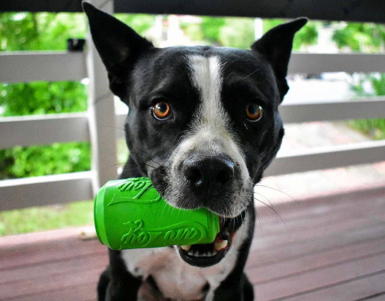 Rover Pet Products - Vente Jouet à mâcher – chien - Canette Toy22