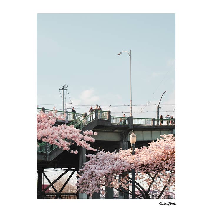 Bridge Blossoms Photo Print for wholesale by Keebee Studios