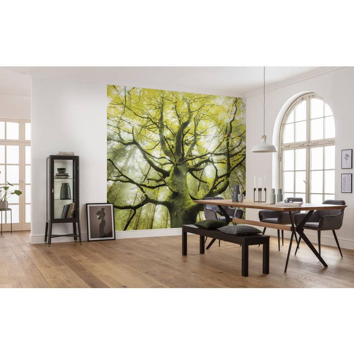Papel pintado fotográfico de lana, el árbol de los sueños, tamaño 450 x 280 cm para venta al por mayor de Komar Products GmbH & Co. KG
