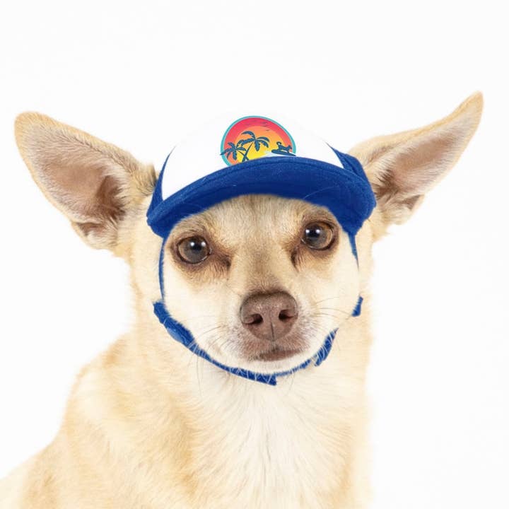 PupLid - Wholesale Pet Hat - Dog - Surfer Dog Standard or Namedrop | Trucker Hat for Dogs18