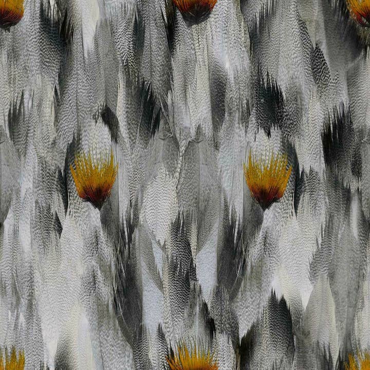 Natural Feathers Grey and Orange Wallpaper for wholesale by Mineheart