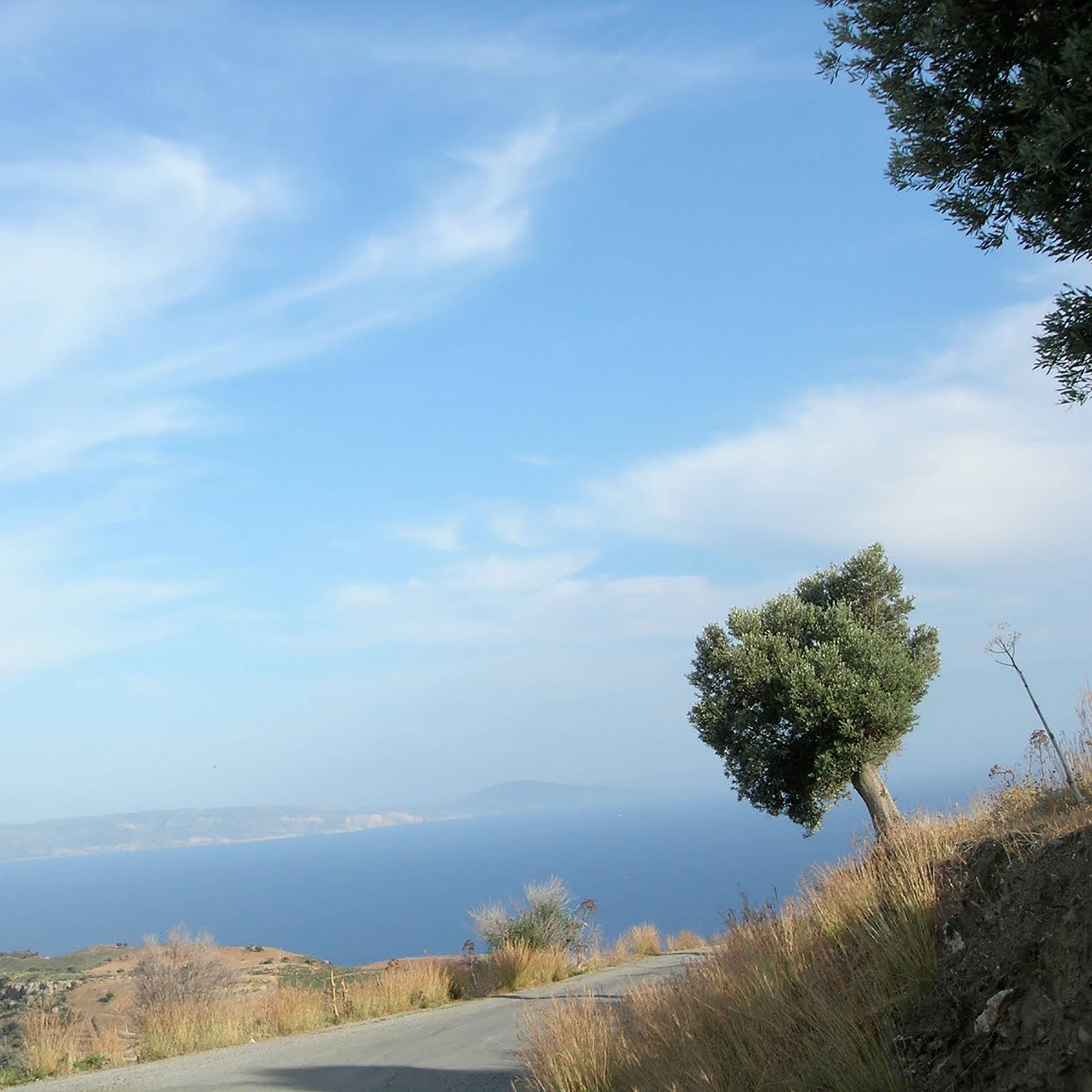 Curio Spice Co – Großhandel Salz – Ägäisches Salz2