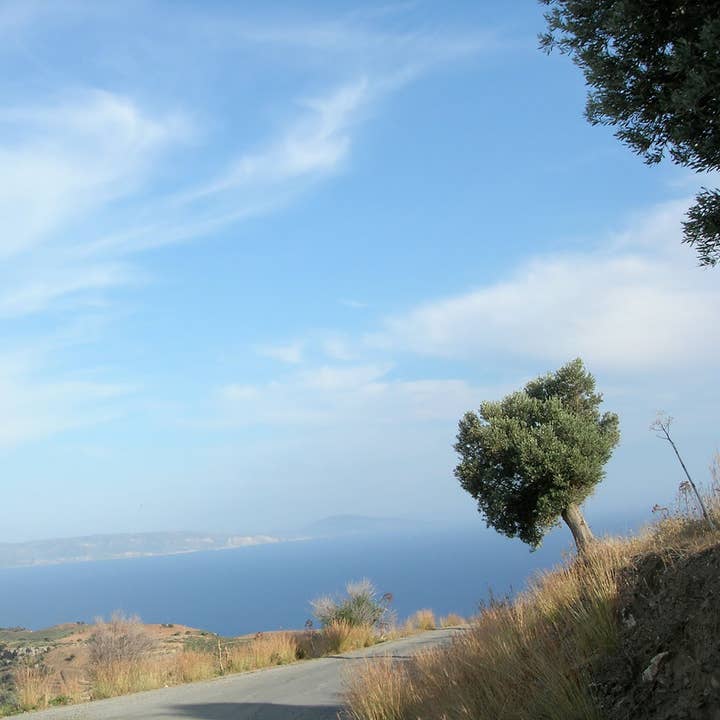 Curio Spice Co - Vente Sel - Sel de la mer Égée2