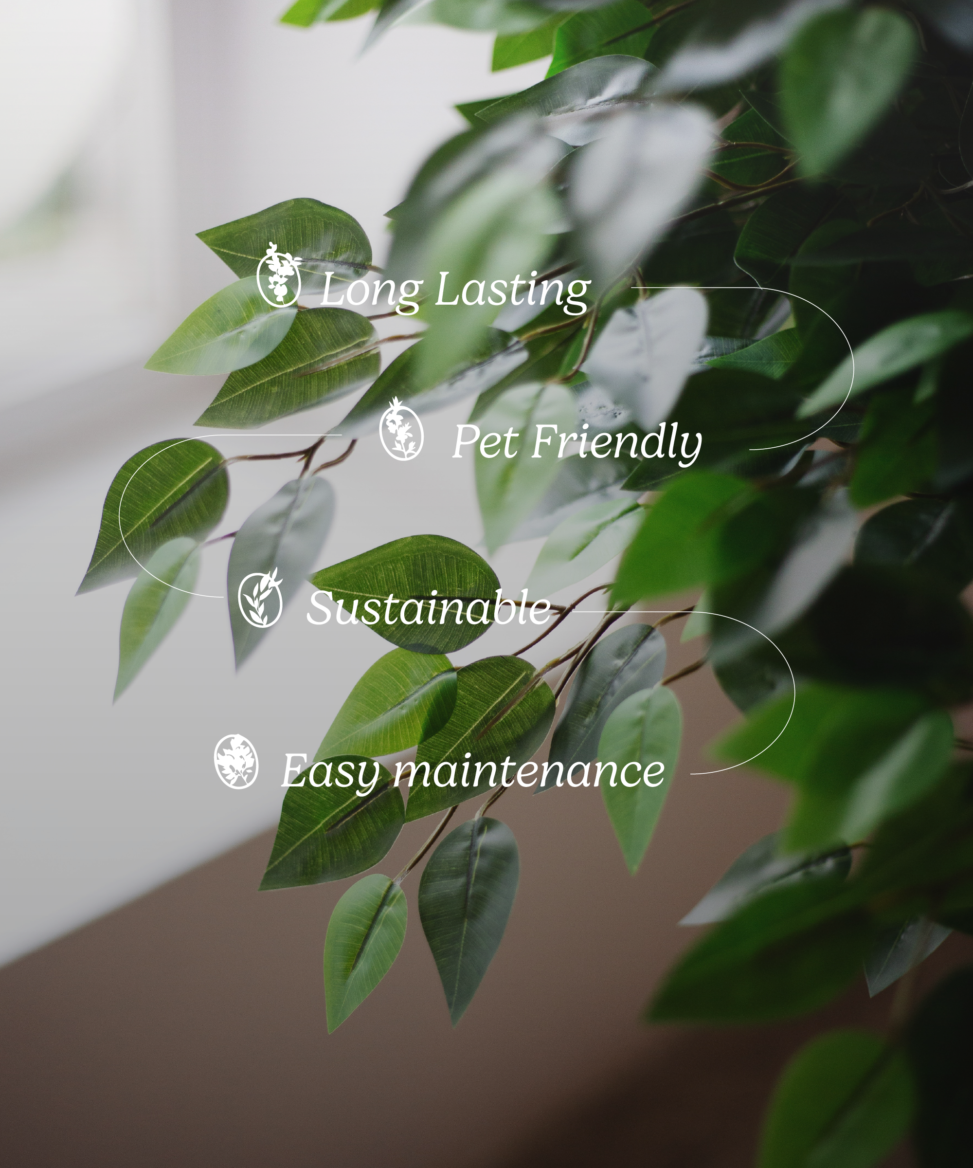 Maia Shop - Wholesale Artificial Plant - Artificial Ficus 2 Crowns 150 cm5