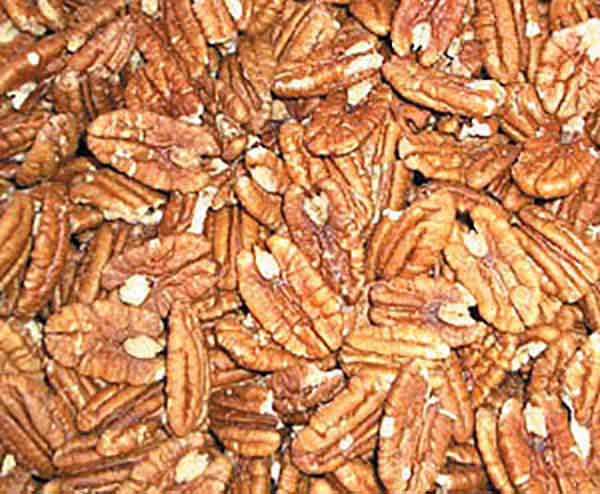 Hudson Meat Company - Wholesale Nuts - PECAN HALVES ROASTED NO SALT     -     SNRA0