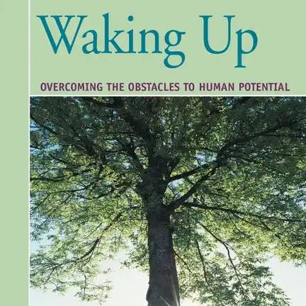 Books by splitShops - Wholesale Body, Mind & Spirit - Waking Up: Overcoming the Obstacles to Human Potential - Paperback
