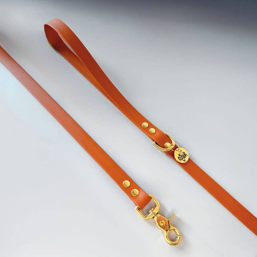 Oscar & co - Wholesale Pet Leash - Dog - Waterproof orange Biothane dog leash0